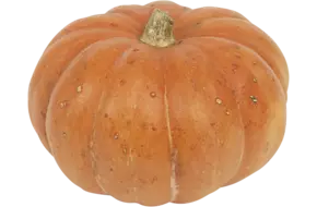 Pompoen Ameroni (1,5 tot 3 kilo)